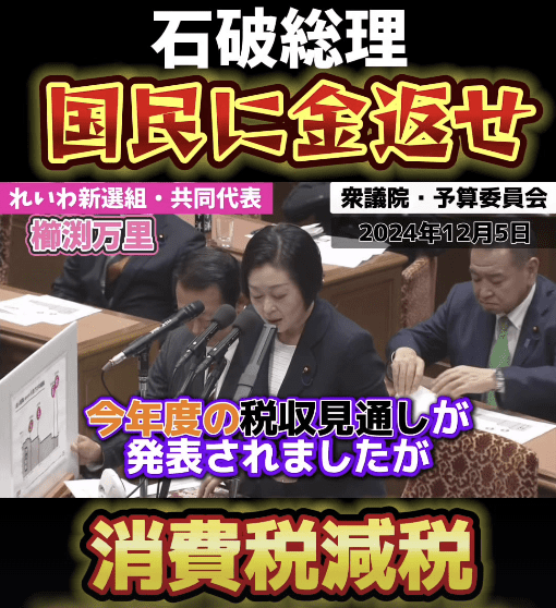 【櫛渕万里】石破総理は国民にお金を返してください！野党の皆さん消費税減税の大チャンスです！#れいわ新選組 #櫛渕万里 #消費税減税 #国会